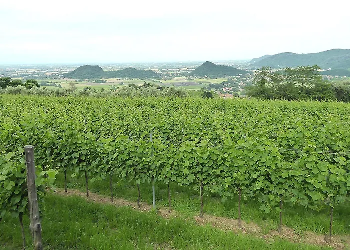 Casa Delle Eriche, Colli Euganei, Pool, Wifi Villa *