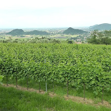 Casa Delle Eriche, Colli Euganei, Pool, Wifi Villa *
